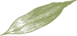 Diseño MC_01 (16)