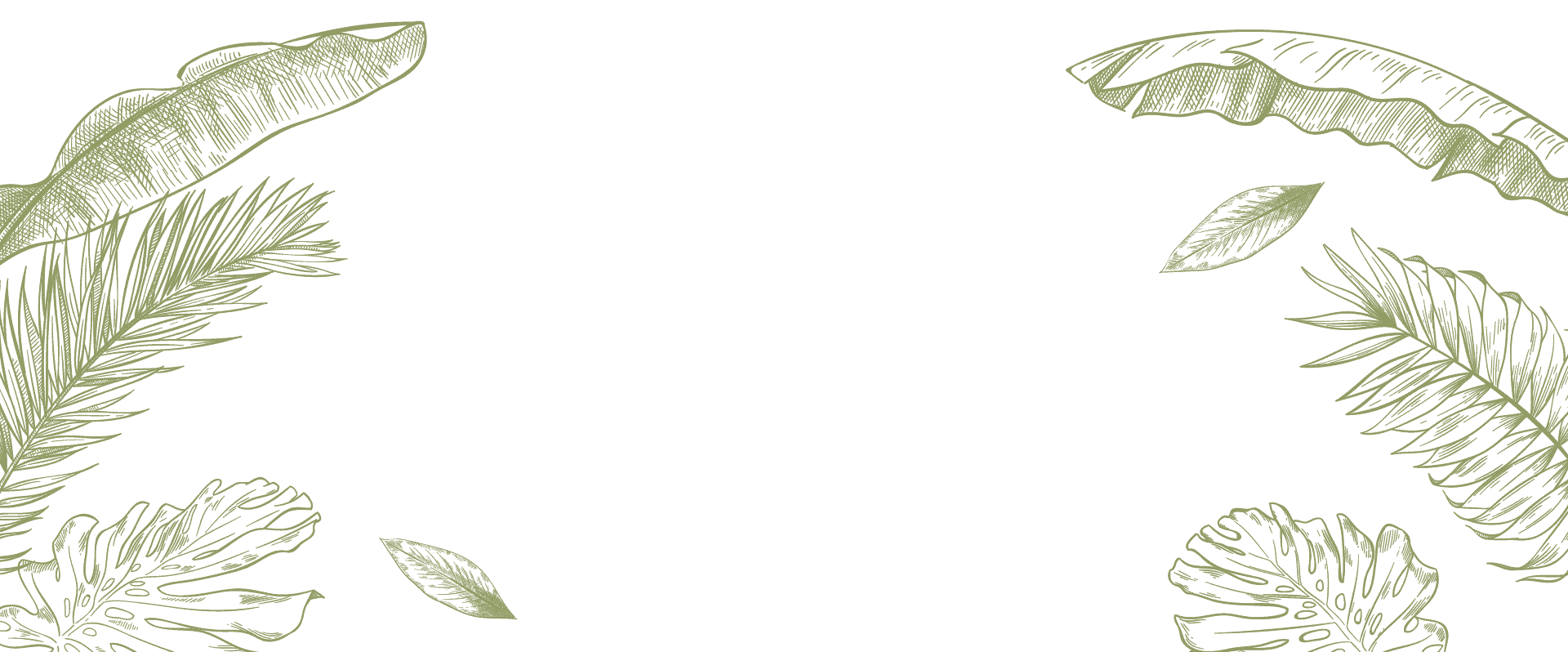Fondo MC2